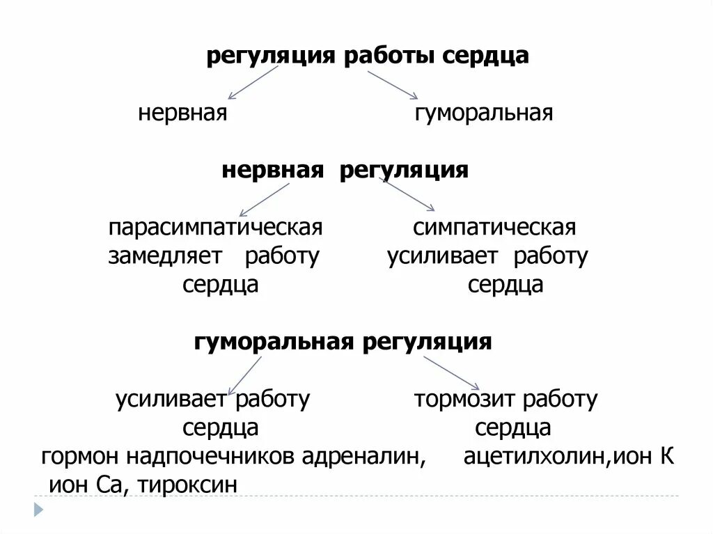 Гуморальная регуляция работы сердца осуществляется. Нервно-гуморальная регуляция деятельности сердца. Нервная и гуморальная регуляция деятельности сердца таблица. Нервная и гуморальная регуляция работы сердца. Регуляция работы сердца способ воздействия результат.