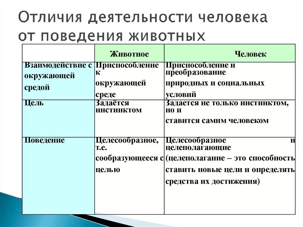 Укажите основные различия между. Отличия человеческой деятельности от поведения животных. Отличие деятельности человека от активности животных таблица. Отличие человеческой деятельности от активности животных. Jnkbxbz xtkjdtxtcrjq ltzntkmyjcnb JN gjdtltybxz ;bdjnys[.