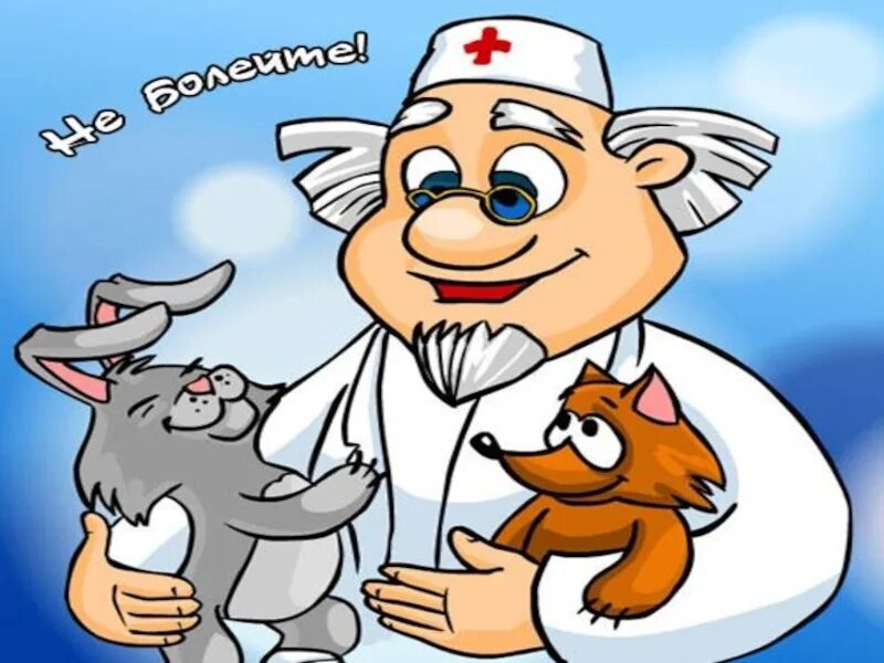 Айболит транспорт