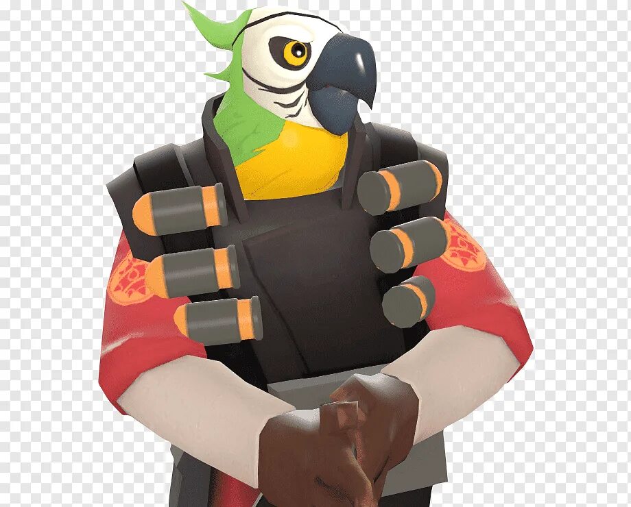 Heavy bird. Tf2 Parrot. Птицы тф2. Птичка tf2. Птица путис тф2.