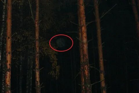 Реальные истории очевидцев