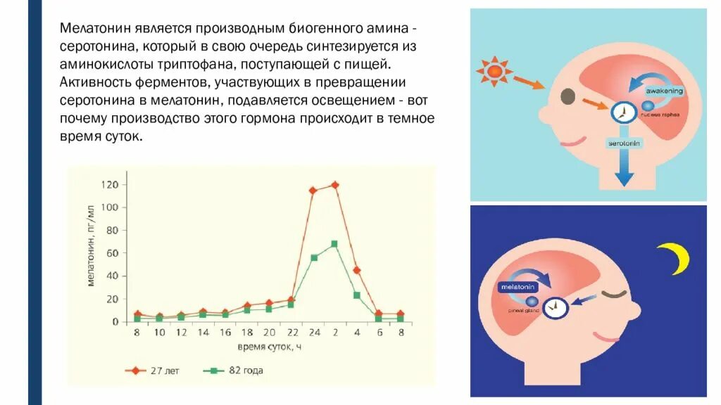 Что влияет на выработку. Мелатонин гормон сна. Гормоны сна и бодрствования. Выработка мелатонина в организме. Мелатонин воздействие на организм.