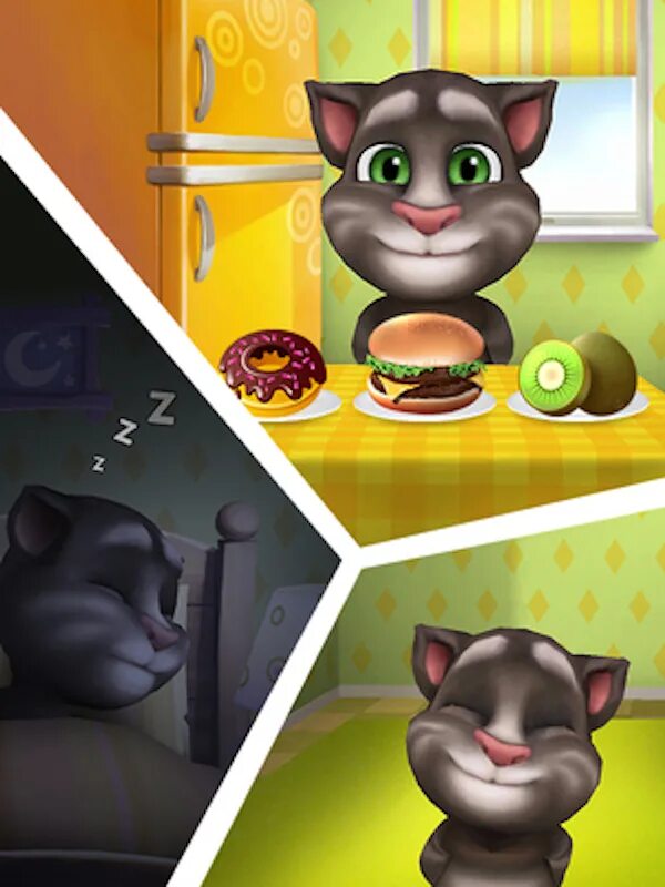 Что случилось с автором мой говорящий том. My talking Tom 1. My talking Tom 1.0. Мой том 2. My talking Tom 2013.