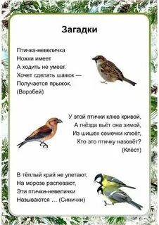 Короткие стихи про птиц