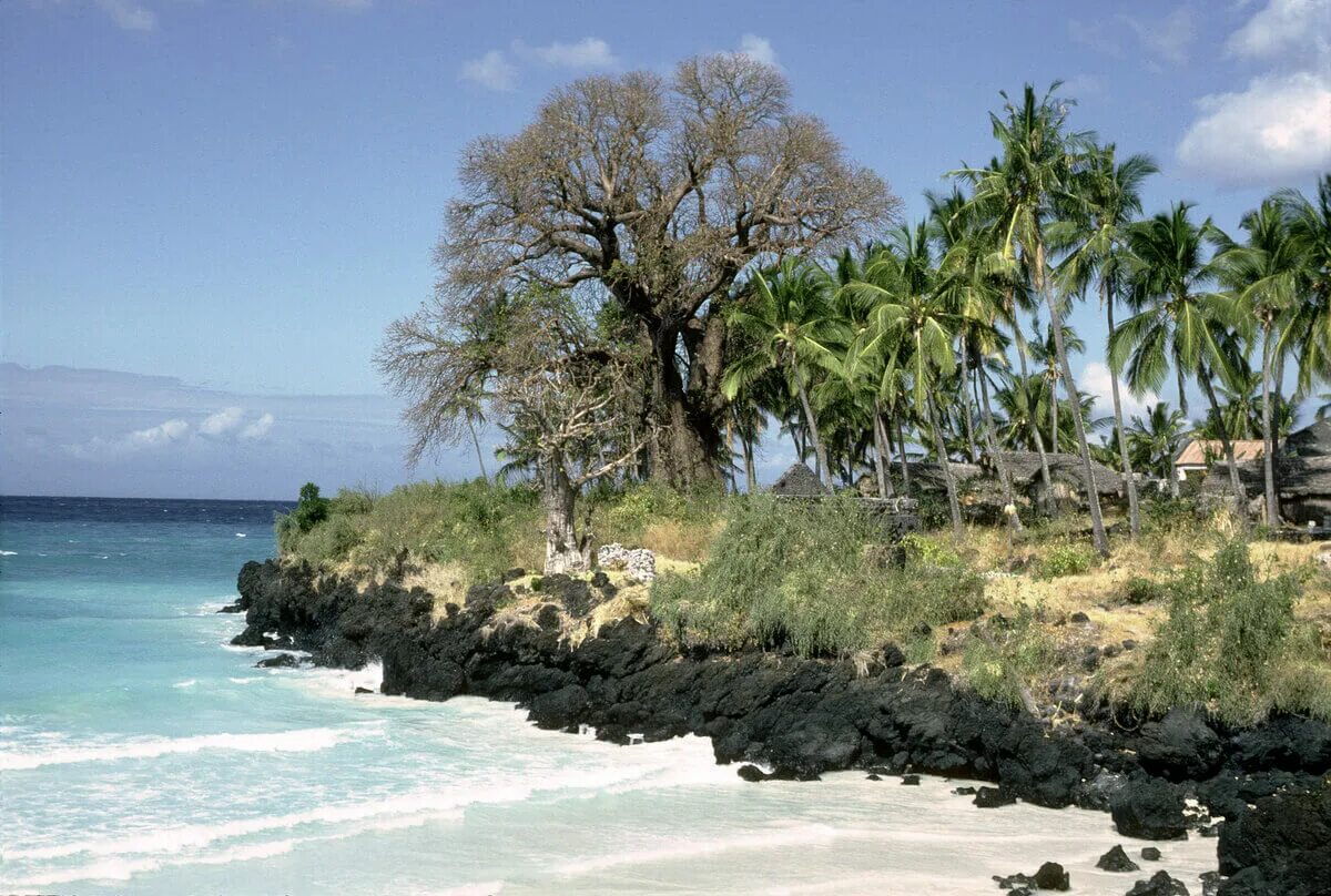 Коморские острова (архипелаг). Коморские острова . Остров Фомбони. Морской парк Коморских островах. Индийский океан Коморские острова.