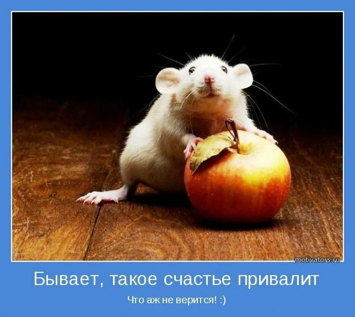 Позитивные мысли. Психологические мотиваторы в картинках. Мотиватор прикольный. Прекрасная жизнь начинается с прекрасных мыслей. Открытки мотиваторы.