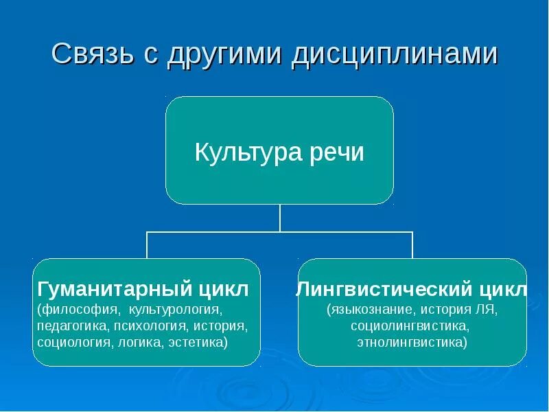 Место культуры речи