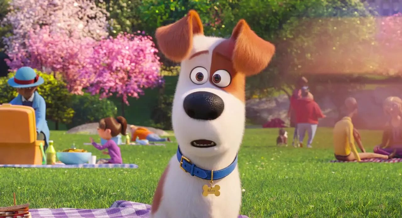 Домашнее 6 животных 2. Тайная жизнь домашних животных макс. the secret life of pets 2. тайная жизнь домашних животных 2 клепа. тайная жизнь домашних питомцев 1.