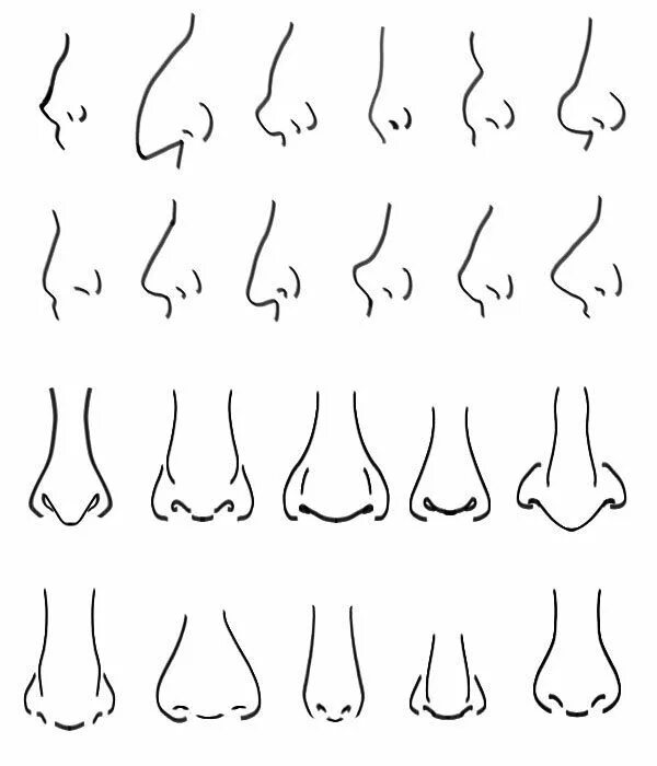 Nose shapes