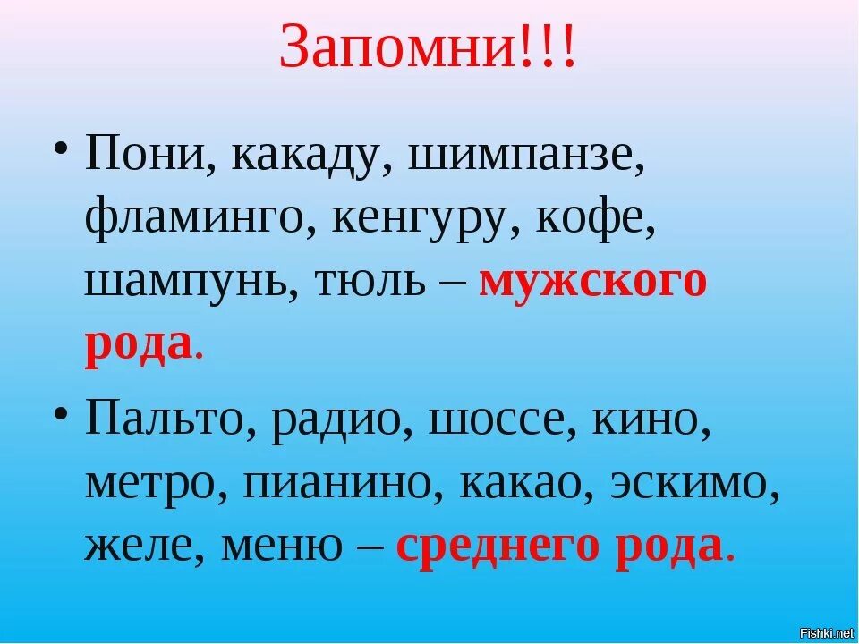 Какому роду относятся дети. Какого рода слово кенгуру. Род слова шимпанзе. Кенгуру род существительного. Род существительных кенгуру.