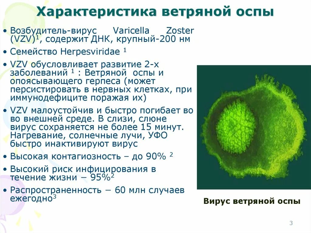 Характеристика возбудителя ветряной оспы. Ветряная оспа возбудитель. Особенности ветряной оспы. Код мкб 10 ветряная оспа у детей