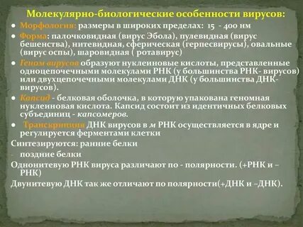 Вирусы общая биология