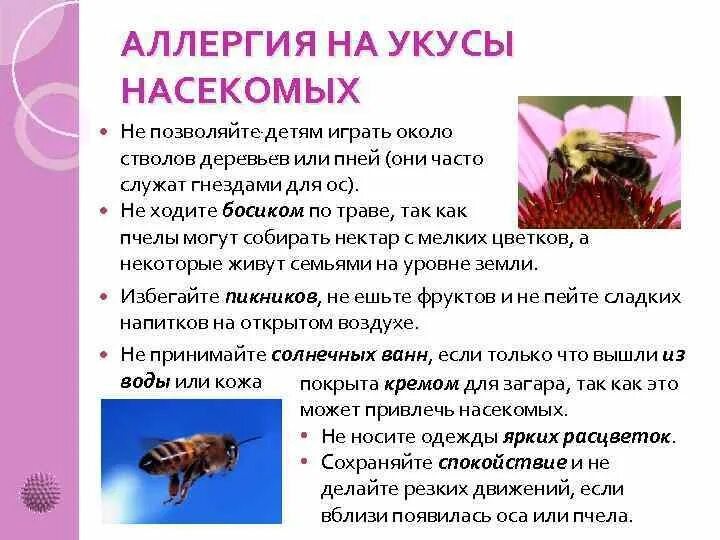Аллергическая реакция при укусах насекомых. Аллергия при укусе насекомых.