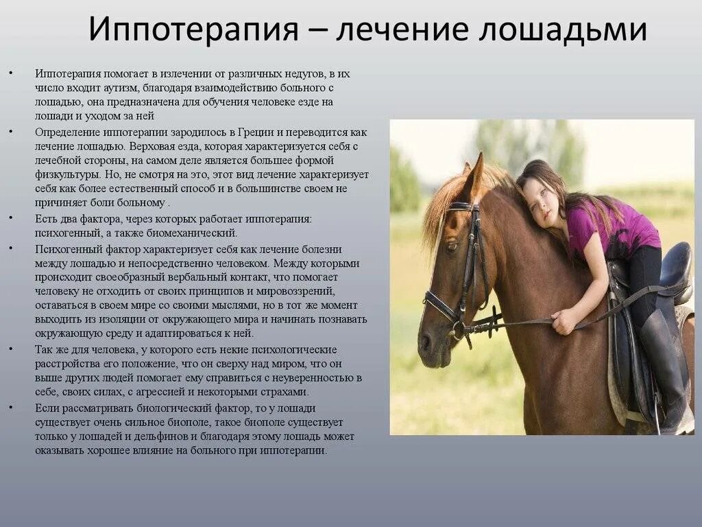 Сколько содержать лошадь. Породы лошадей для иппотерапии. Продолжительность жизни лошади. Средняя жизнь коня. Средний Возраст жизни лошадей.