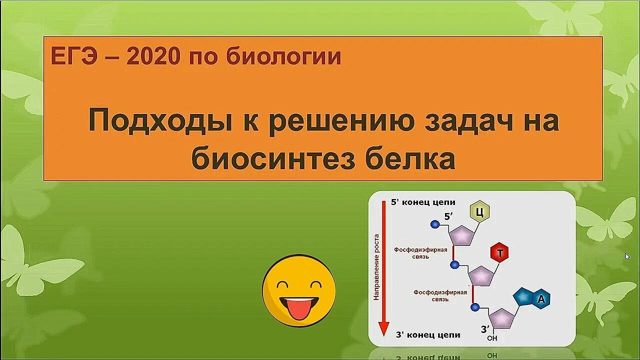 Биосинтез задания егэ. Биосинтез белка ЕГЭ задания. Решение задач на Биосинтез белка ЕГЭ 2020. Решение задач по биологии Синтез белка. Биосинтез белка ЕГЭ по биологии.