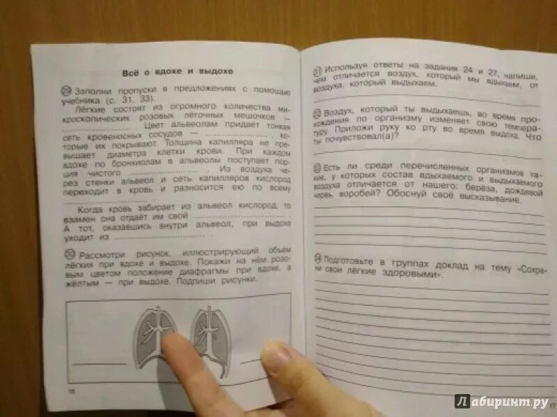 Тетради для самостоятельной работы 4 класс. Федотова трафимова окружающий мир 2. окружающий 4 класс федотова трофимова трофимов кудрова. тетрадь окружающий мир 4 класс 2 часть федотова. окружающий мир 4 класс федотова трофимова кудрова 2 часть.