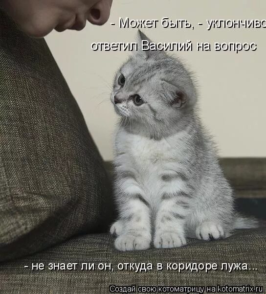 Любимая давай не будем ссориться. Я не хочу с тобой ругаться. Зотб мы с тобой и срримся. Стих давай не ругаться. Мы так редко видимся с тобой.