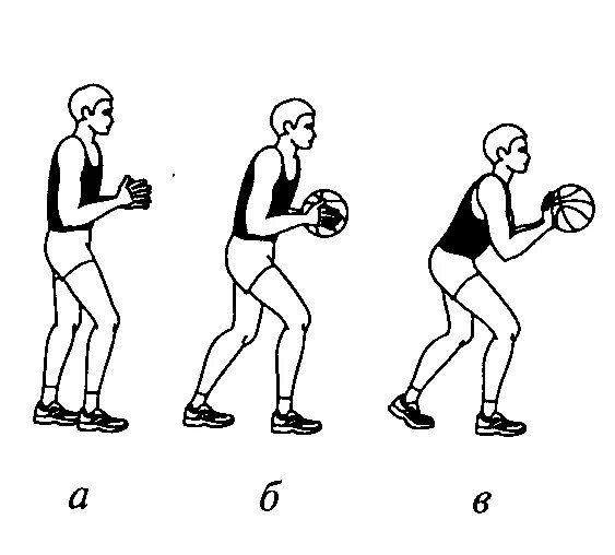 Три шага с мячом. Основная стойка баскетболиста без мяча. Стойка нападающего в баскетболе. Основная стойка баскетболиста. Основная стойка нападающего в баскетболе.