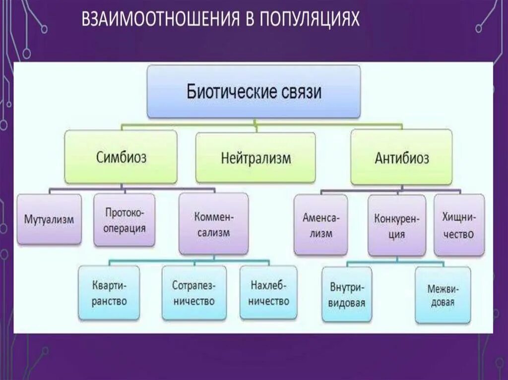 Корова человек тип биотических отношений. Типы взаимоотношений нейтрализм симбиоз. Формы симбиоза таблица. Формы взаимодействия симбиоз. Взаимоотношения между организмами схема.