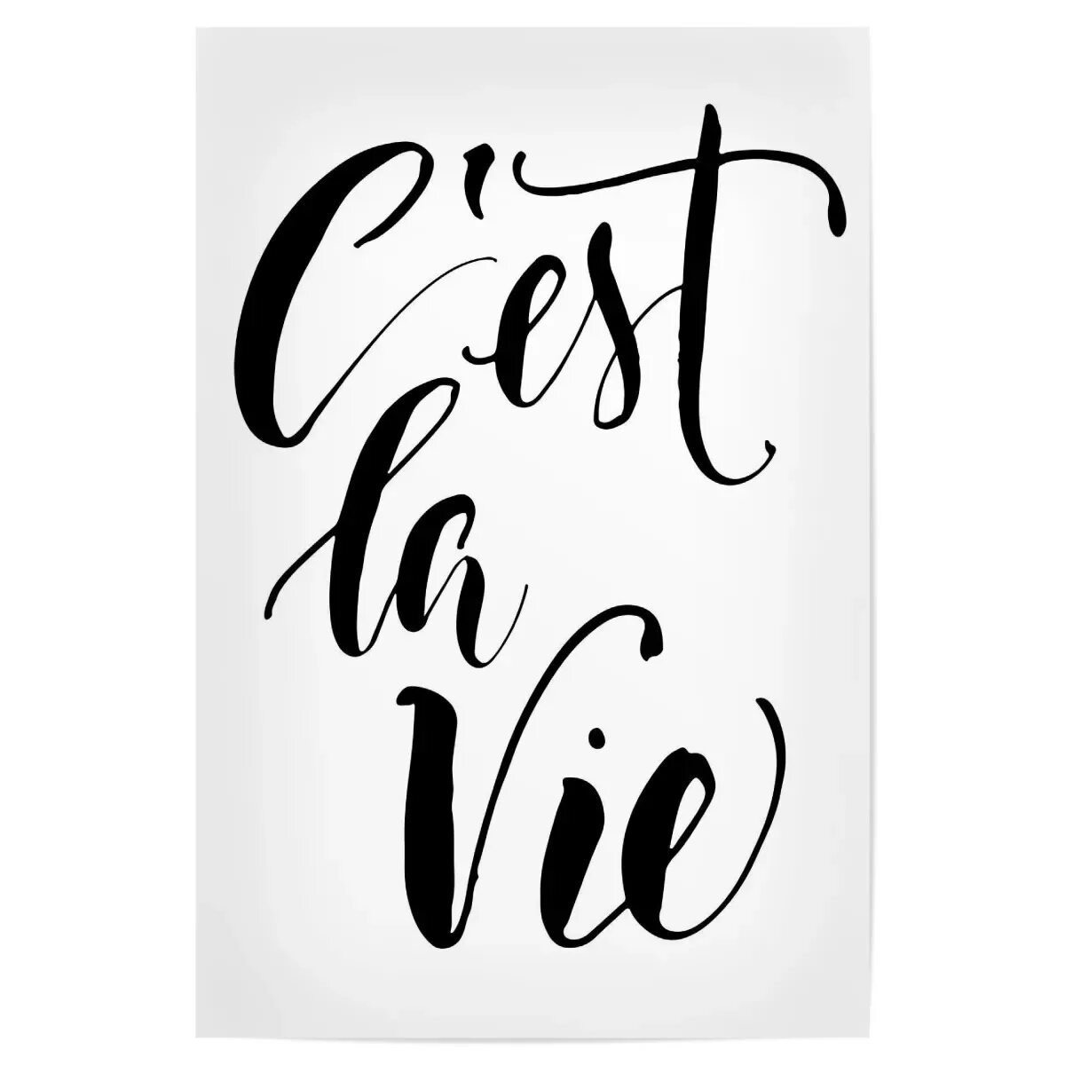 C'est la vie. Macan се ля ви. C'est la vie картинки. Се ля ви обои. Се ля ви на русском