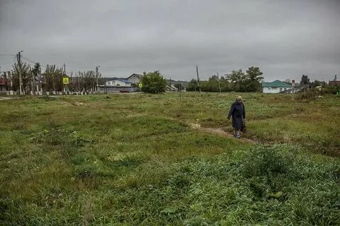 Медное поле
