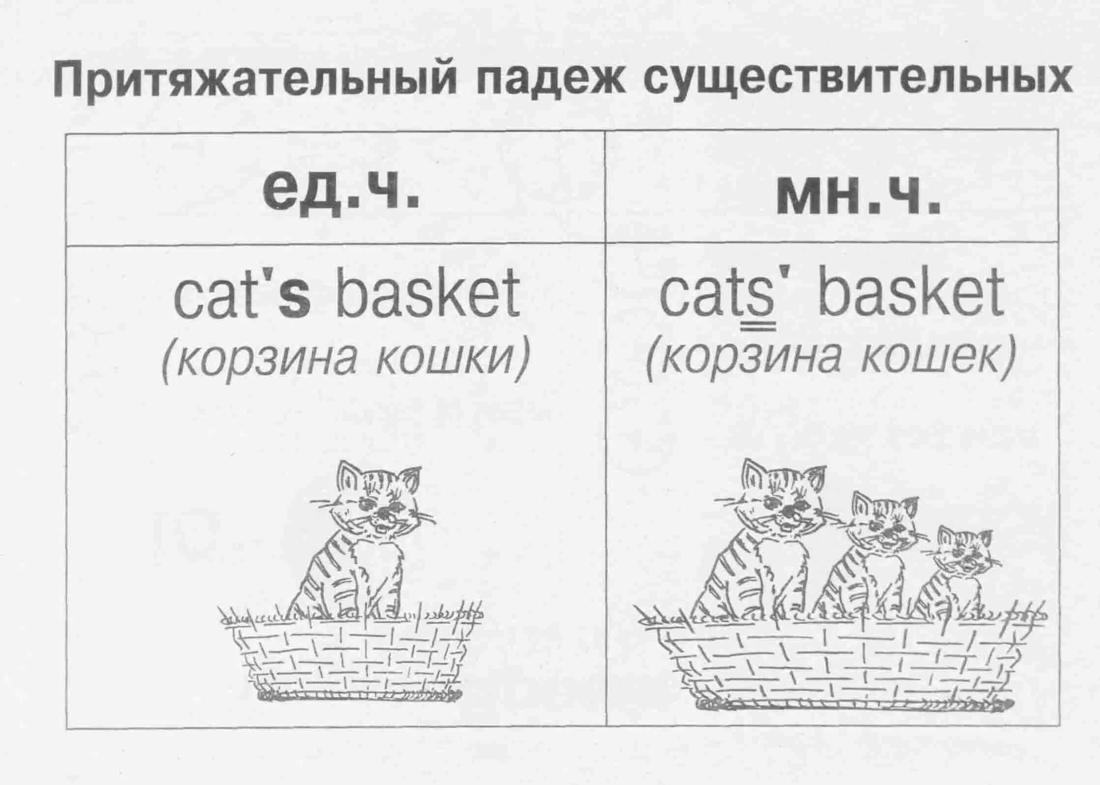 Притяжательный падеж в английском языке множественное число. Таблица притяжательный падеж существительных в английском языке. Притяжательный падеж в английском языке для детей правило. Правила притяжательного падежа в английском языке 3 класс. Апостроф s в английском