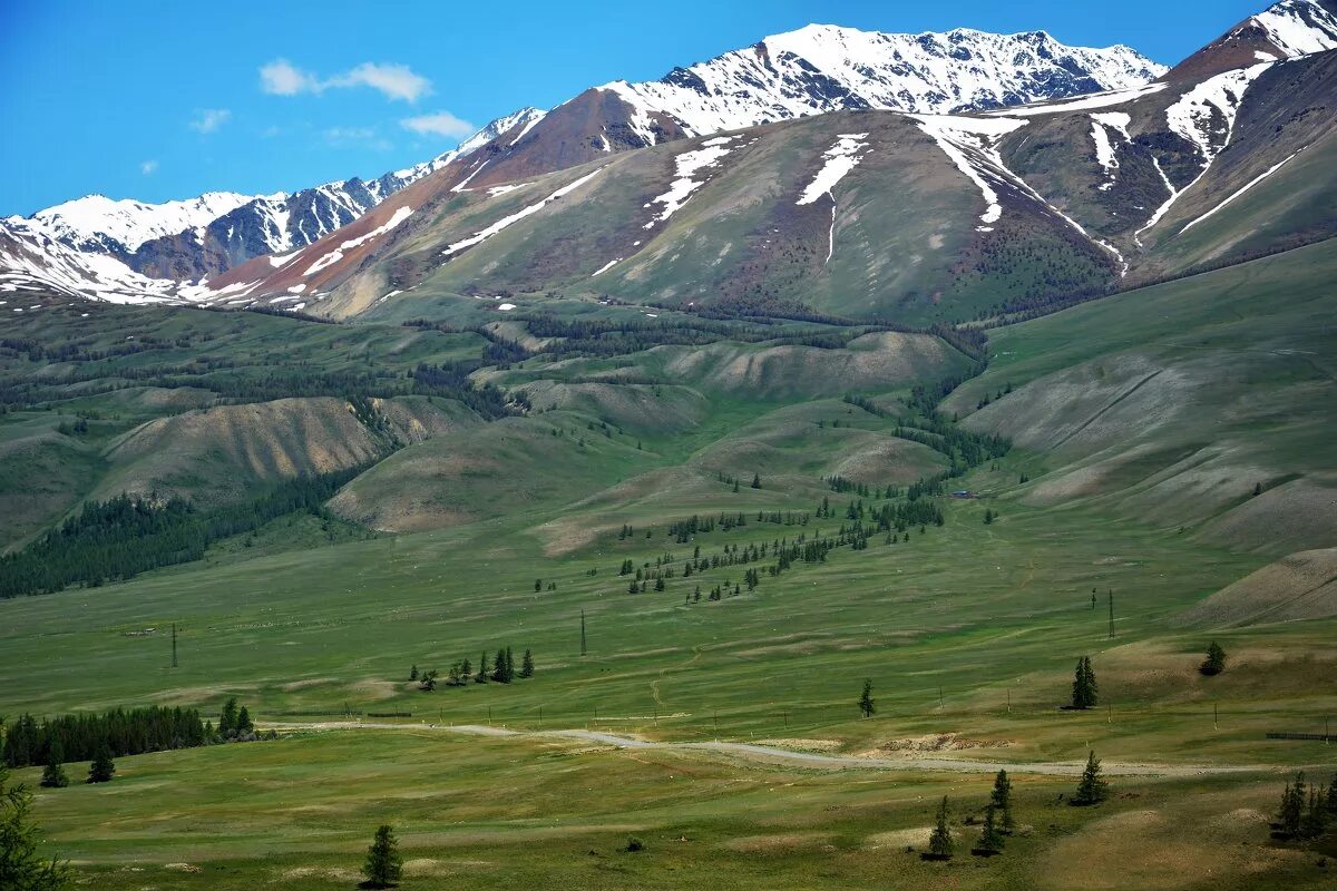 Курай (Республика Алтай). Село курай горный Алтай. Алтай курай горы. Кочкор,село курай, Республика Алтай.