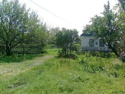 Богдановка донецкая область новости сегодня последние