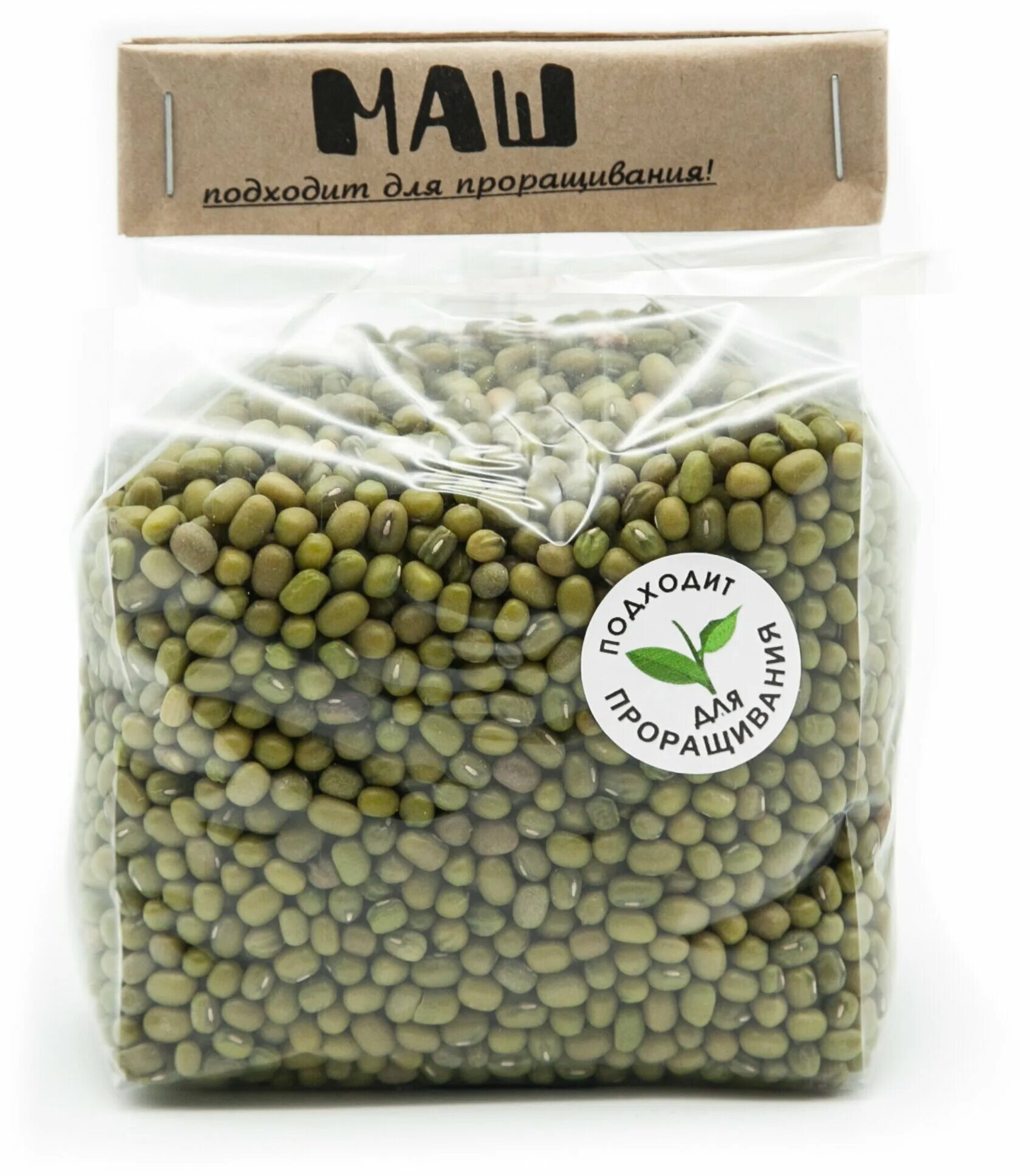проростки фасоли маш. маш мунг. бобы мунг проростки. маш, или бобы́ мунг,. зерна маша что это.