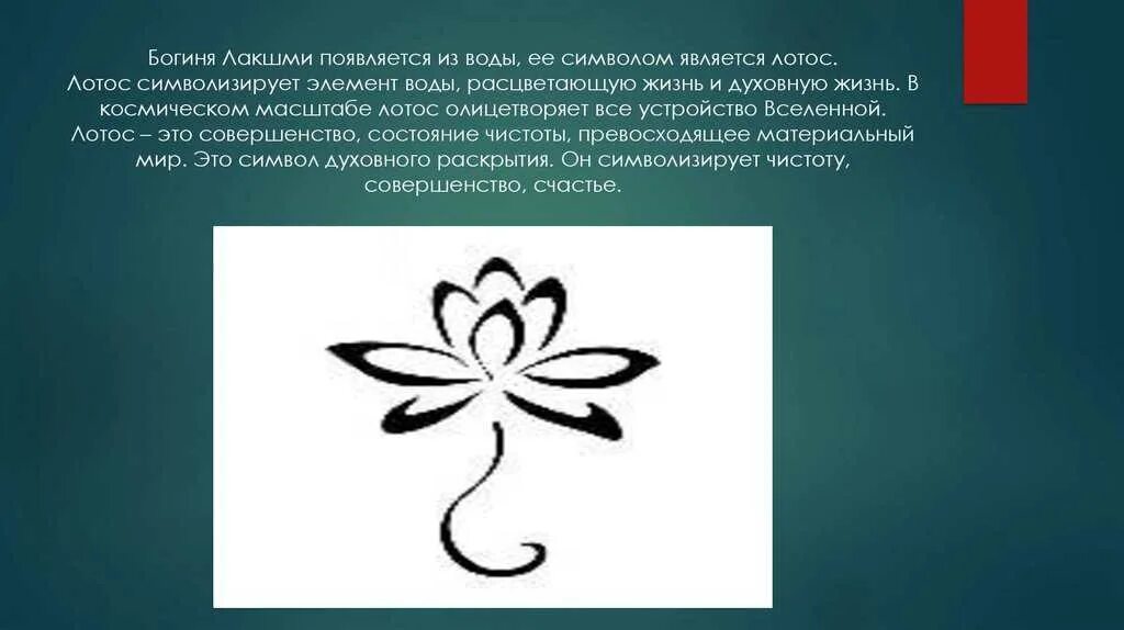 Лотос для женщины значение. Лотос символ жизни. Цветок символ. Что символизирует Лотос. Лотос цветок значение символа.