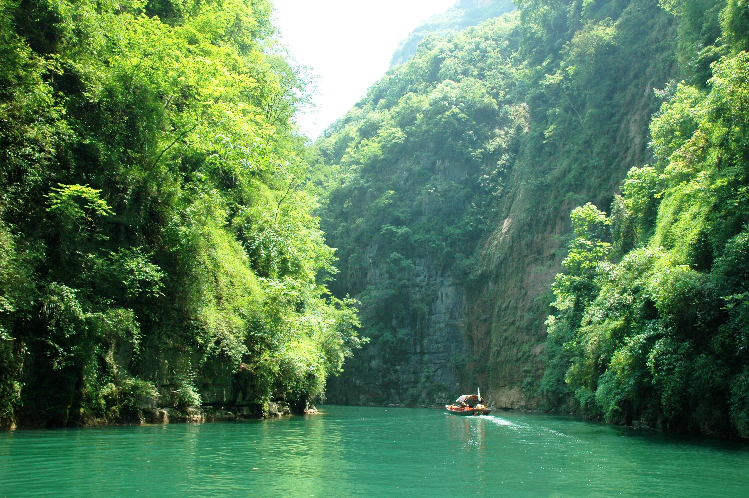 Самая длинная река евразии янцзы. Река Янцзы Китай. Природа Янцзы река. Янцзы зеленая. Берег реки Китай.