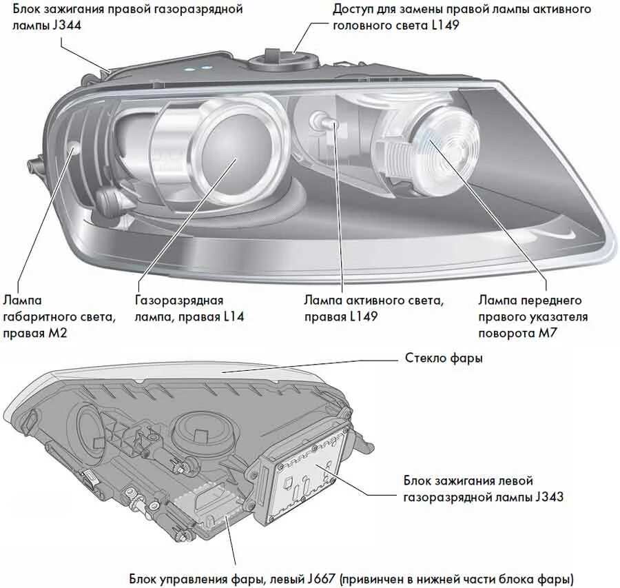 Как фар сделать на русском. Фары Туарег 2004 регулировочные винты. Лампы фар Фольксваген Туарег 2008. Конструкция фары VW Tiguan.
