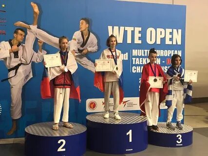 Программа тхэквондо