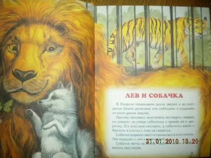 Лев и собачка читательский дневник главная мысль