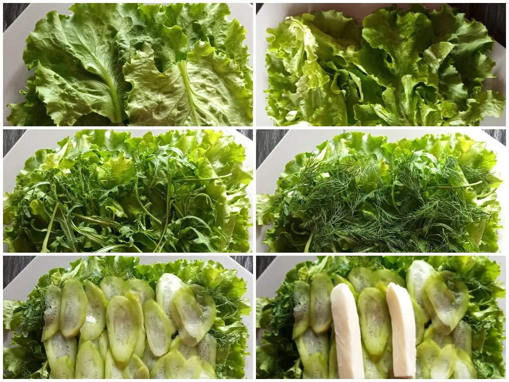 Зелень для салатов названия. Зеленые салаты сорта. Съедобная зелень названия. Сорта салата листового. Зелень типы
