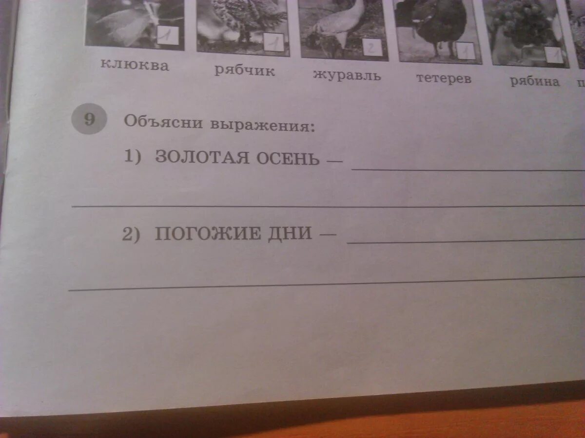 Объясни выражение ожерельем рассыпана клюква. Объясни выражение золотая осень. объясни выражение золотая осень и погожие дни. объясни выражения погожие дни. золотая очень обясни вырожение.