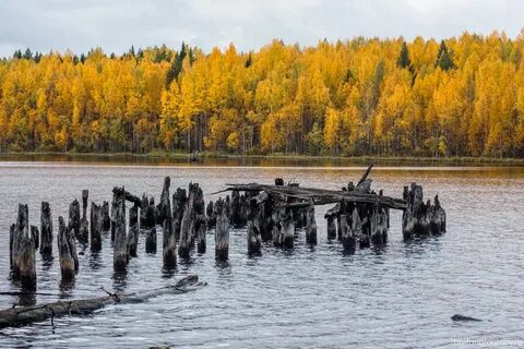 Дороги петра