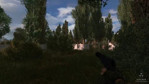 True stalker найти