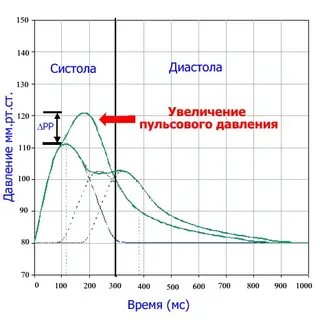 Величина пульсового давления в норме