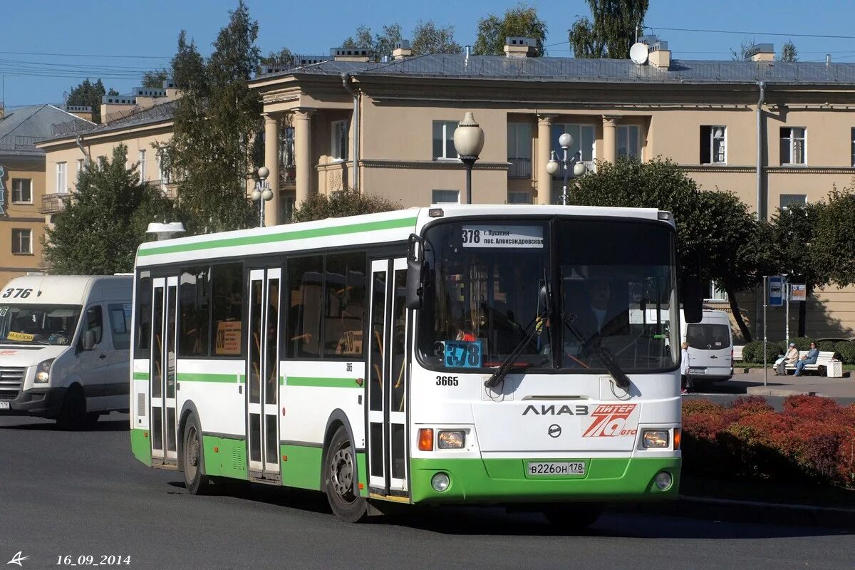 378 Автобус. Автобус Пушкин. 378 Автобус Пушкин. Автобус 378 Москва.