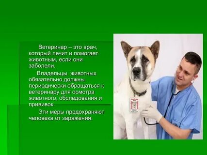 Профессионализмы к профессии ветеринар