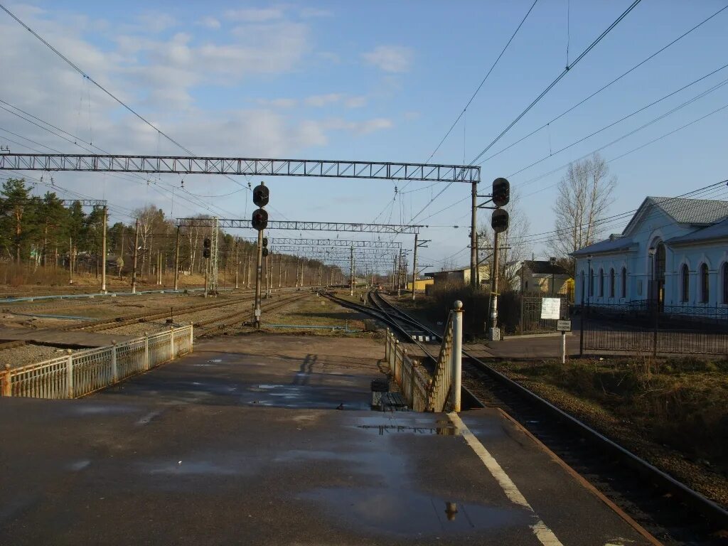 Станция сосново санкт петербург. Сосново вокзал. Жд станция сосновая поляна. Сосновая поляна балтийский вокзал. Жд станция сосново.