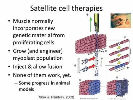 Define cell
