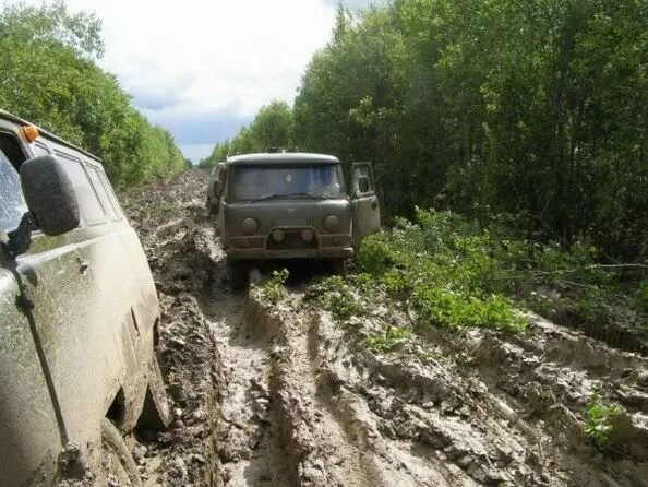 Дорога до кедрового томская область. Дорога от томска до кедрового. Суровая дорога. Кедровый (томская область). Погода в парбиге рп5.