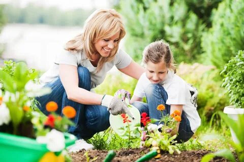 Family plants