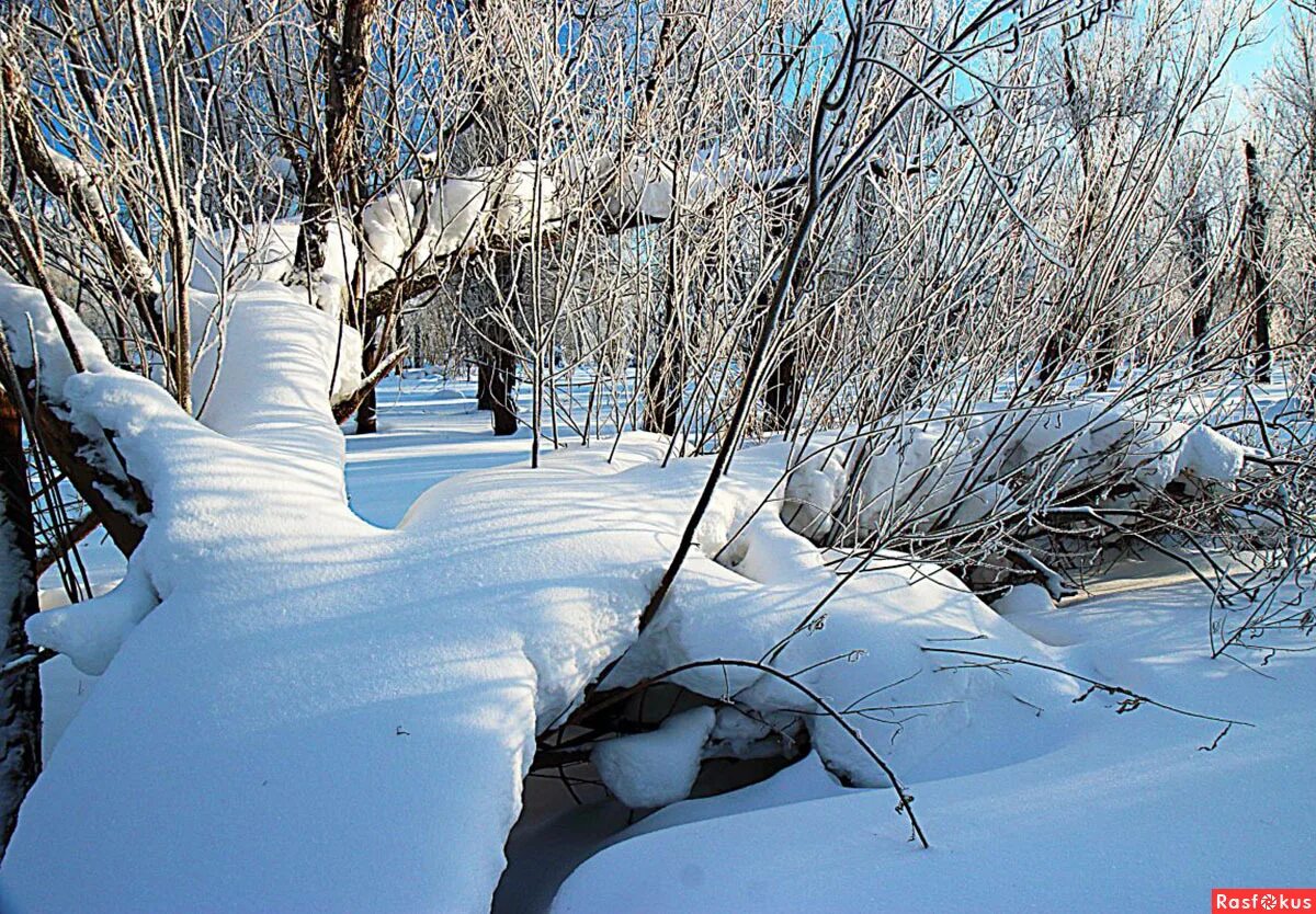 Пословица зимой хлеб глубокий летом хлеб. Пословица зимой снег глубокий летом хлеб высокий. Презентация попурри 10 пословиц и поговорок для 4 класса. Береги нос в большой мороз пословица. Пословица про снег.