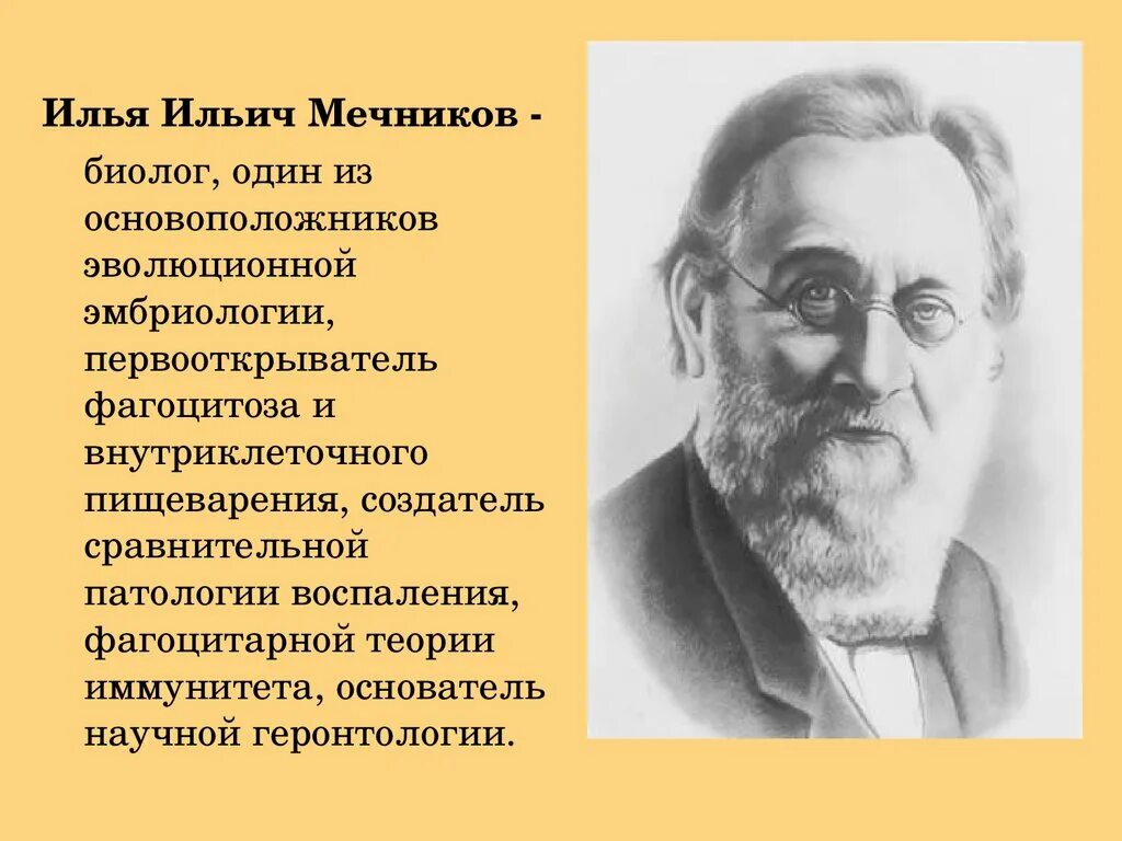 Концепции детерминизма. Концепция общества л. Теория старения по мечникову. Теория л мечникова. Теория иммунитета мечникова и эрлиха.