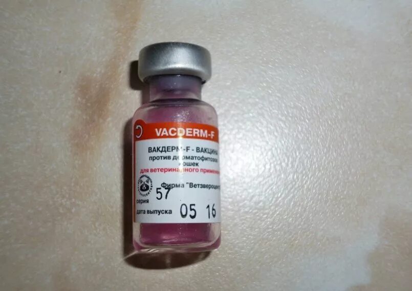 Вакдерм для кошек. Вакдерм для собак. вакдерм вакцина лишай. вакдерм вакцина для котят. вакдерм и вакдерм f.