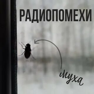 Муха песни слушать