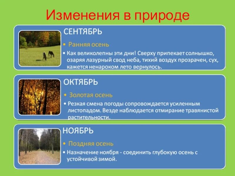 Сезонные изменения в жизни растений пример Картинки ПОСЛЕДОВАТЕЛЬНОСТЬ СЕЗОННЫХ ЯВЛЕНИЙ В ЖИЗНИ ПТИЦ